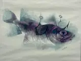 Siegfried Reinhardt, Fish, Lithograph
