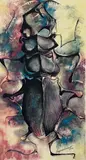 Siegfried Reinhardt, Beetle, Color Lithograph