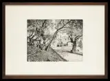 Laurenzio Laurenzi, Chiesa di San Damiano ad Assisi, 1924...