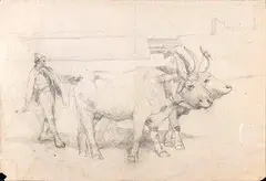 Giuseppe Raggio, Buttero con buoi..., Buone condizioni