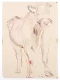 Ferruccio Ferrazzi, Bue, 1948...