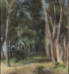 La pineta... by Tommaso Cascella, Buone condizioni, offered Feb 2022