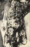 Renzo Vespignani, Anatomia, 1963...