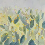 Giulio D'Anna, Cactus