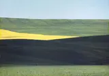 Franco Fontana, Landscape Basilicata, Italy