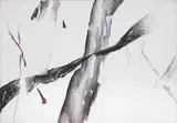 Mario Raciti, Presenze - Assenze