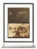 Joseph Beuys, Iphigenie / Titus Andronicus, 1985, Pellicola fotografica in cornice d'acciaio con vetro