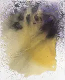 Sigmar Polke, Senza titolo, 1994, acrylic and enamel on canvas