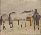 Giuseppe Cesetti, Cavalli