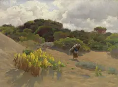 Alberto Zardo, Fra le dune - Maremma, oil on canvas