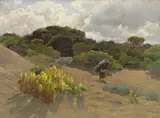 Alberto Zardo, Fra le dune - Maremma