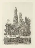 Giorgio Morandi, I pioppi, 1930, etching on rame