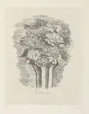 Giorgio Morandi, Zinnie, 1930, etching on zinco
