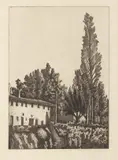 Giorgio Morandi, Paesaggio con il grande pioppo, 1927, etching on rame