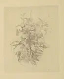 Giorgio Morandi, Fiori di campo, 1930, etching on zinco