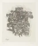 Giorgio Morandi, Gruppo di zinnie, 1931, etching on zinco