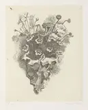 Giorgio Morandi, Cornetto con fiori di campo, 1924, etching on zinco on paper India incollata