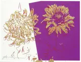 Andy Warhol, Kiku, 1984, screenprint on paper
