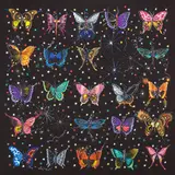 Luca Alinari, Farfalle e stelle