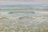 Alceste Campriani, Viareggio