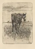 Il vecchio cavallo by Giovanni Fattori, etching on zinco, offered Oct 2015