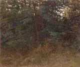 Giorgio Kienerk, Angolo di bosco