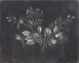 Giorgio Celiberti, Fiori