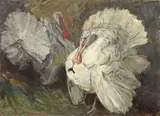Vittorio Nomellini, Tacchini, oil on cardboard