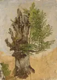 Károly Markó, Albero, oil on cardboard