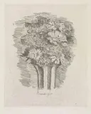 Giorgio Morandi, Zinnie, 1930, etching on zinco