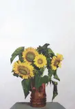 Girasoli by Michelangelo Pistoletto, screenprint on acciaio inossidabile lucidato a specchio, offered Nov 2014