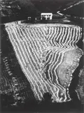 Mario Giacomelli, Presa di coscienza sulla natura, Settembre