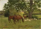 Arthur Lemon, Cavalli al pascolo, oil on canvas