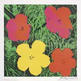 Andy Warhol, Flowers, screenprint a colori