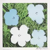 Andy Warhol, Flowers, screenprint a colori