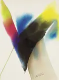 Paul Jenkins, Phenomena Rebecca