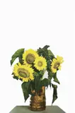 Girasoli by Michelangelo Pistoletto, screenprint on acciaio inossidabile lucidato a specchio, offered May 2014