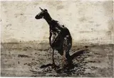 Pino Pascali, Canguro, 1964, mixed media on card and acetato