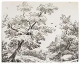 G. Pirroni, Bosco, inchiostro on paper mm.