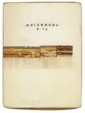 Luca Coser, Raindrops, 2007, mixed media and resina on legno