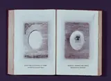 Emilio Isgrò, Il verme, 1993, libro and mixed media in teca di plexiglass and legno