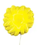 Gino Marotta, Fiore