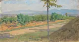 Luigi Gioli, Campagna pisana