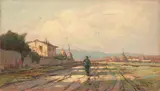 Renuccio Renucci, Ritorno dai campi