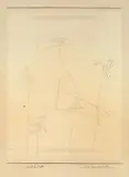 Fünf Dynamoradiolaren by Paul Klee, 1926, pencil on paper applicata on cardboard, offered Jun 2013