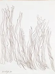 Senza titolo by Toti Scialoja, 1990, ink on paper, offered Jun 2013