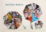 Eugenio Miccini, Natura morta