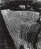 Presa di coscienza sulla natura, la Terra by Mario Giacomelli, 1968, Stampa alla gelatina ai sali d'argento, offered Jun 2013