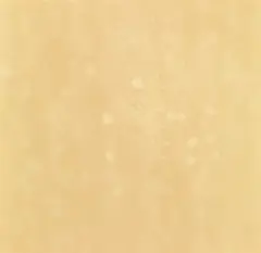 Wolfgang Laib, Polline, 1977, polline di abete on vetro