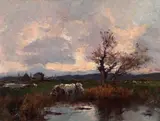 Alberto Cecconi, Campagna con bovi